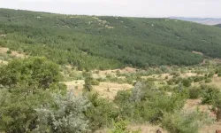 Proje tıkandı, CHP’li başkan İZSU’ya sitem etti: Bana kalsa 100 defa yapardım!