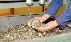 İki madeni paranın daha üretimi durdu