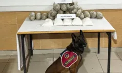 Hakkari'de uyuşturucu operasyonu: Kilolarca ele geçirildi