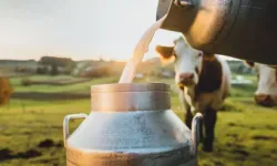 Tire Süt’ün Başkanı Öztürk’ten çağrı: Ulusal Hayvan Konseyi kurulsun