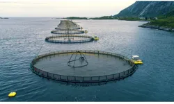 Rekabet Kurulu'ndan İzmirli firmaya 8 milyonluk ceza!