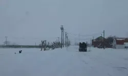 Japonya'da yoğun kar yağışı: Can kaybı 30'a yükseldi