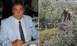 Zeytin ağaçlarını kesen ve görevinden istifa eden Kılbey’e para cezası