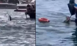 Yolcu vapuru tekneye çarptı... Balıkçı denize düştü