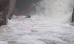 Ölümle burun buruna geldi