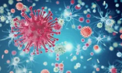 Küresel sağlık riskleri artıyor: 2026’da izlenmesi gereken 3 tehlikeli virüs