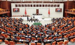 Milli Parklar Kanunu'nda 3 maddeye daha onay!