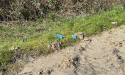 Çinli iş insanı İstanbul'da öldürüldü: Şüpheliler Çin'de yakalandı!