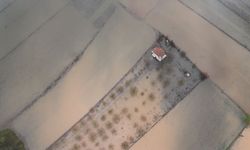 Muğla'da tarım arazilerini su bastı!