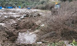 Aydın'da sel ve toprak kayması: 44 küçükbaş telef oldu