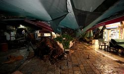 Asırlık çınar fırtınaya yenildi