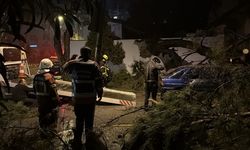 Ağaç otomobilin üzerine devrildi: 2 kişi yaralandı