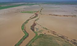 Büyük Menderes taştı, tarım arazileri su altına kaldı