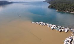 Muğla'da Gökova Körfezi'nin rengi değişti