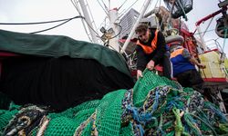 Egeli balıkçılar sezonun kalanından umutlu!