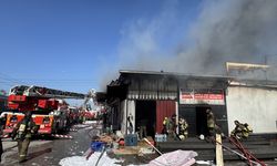 Sanayi sitesinde korkutan yangın!