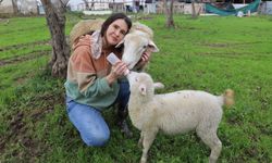 Acil serviste hastalara, çiftlikte hayvanlara şifa dağıtıyor