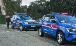 Bodrum'da vahşet: 2 köpek tüfekle vuruldu!