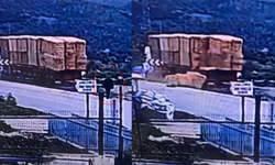 Balyaların altında acı son!