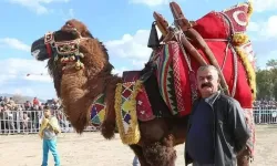 Yasak kararına tepki... Deveciler isyanda!