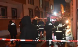 2 katlı evde yangın: 26 kedi hayatını kaybetti!