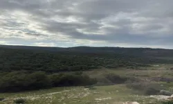 Çimento devine ikinci zeytin vetosu!