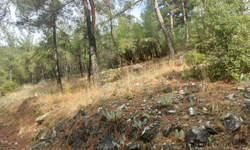 İzmirli holdinge bakanlıktan veto!