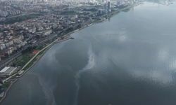 İzmir Körfezi’nde yine aynı tablo: Mazot ve yağ deşarj edildi