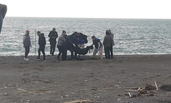 Muğla’da sahilde erkek cesedi bulundu
