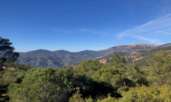 Latmos'taki projeye bilirkişiden veto