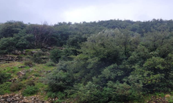 Metropolis'e komşu ocak için yeni başvuru... Tarihe dinamit ısrarı!