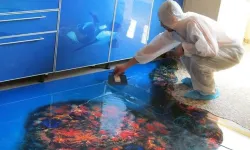 Son günlerin yeni gözdesi ‘epoksi’... "İzmir’deki evlerin en fazla yüzde 1’i kullanabilir!"