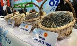 Aydın'da tarım fuarına yoğun ilgi