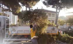 Aydın'da kent genelinde çalışmalar sürüyor!