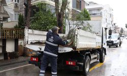 Efeler’in yeşil alanlarına Büyükşehir imzası