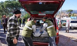 Aydın’da üreticilere yem desteği!