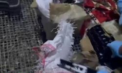 Güvercin kümesinden cephanelik çıktı!