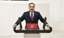 'Umut hakkı' polemiği: Bilici'den AİHM örneği!