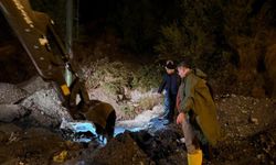 Toprak kaydı: Ev ve otomobil zarar gördü