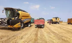 Tarım ürünleri ihracatının yarısı İzmir'den!