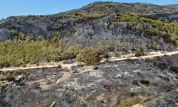 Karşıyaka’da ‘orman’ polemiği: Yanan alanlar imara açıldı iddiası!