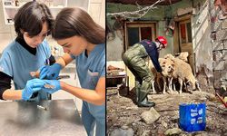 Büyükşehir ekiplerinden yürekleri ısıtan kurtarma!