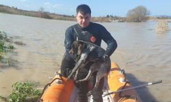 Büyükşehir'den hayvanlara yardım eli