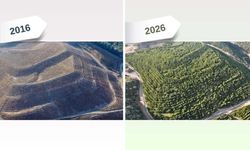 Maden sahası rehabilitasyonla yeşerdi