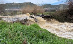 Manisa'da dereler taştı: Tarım arazileri su altında kaldı
