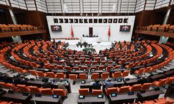 Meclis'e dilekçe yağdı: Yurttaş vekillerden ne istedi?