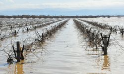 Gediz Ovası sular altında!