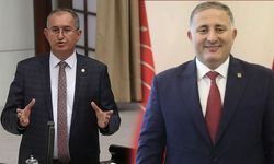 CHP'li Sertel, görevden alınan Kaya'ya sahip çıktı: İnfaz benzetmesi!