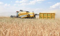 Girişimcilere 114,4 milyon lira hibe aktarıldı