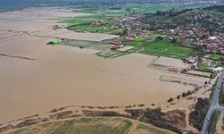 55 bin dönüm buğday yok oldu… Söke için ‘afet bölgesi’ çağrısı!